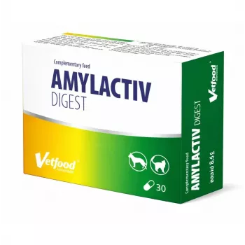 VETFOOD Amylactiv digest para perros y gatos 30 cápsulas