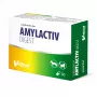 VETFOOD Amylactiv digest para perros y gatos 30 cápsulas