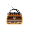 Radio analógica BLOW RA10 AM/FM solar 77-540 — receptor AM/FM con panel solar y batería de respaldo