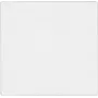 Accesorio para interruptor eléctrico Jung LS 990 WW, blanco, compatible con series 501/502/503/506/507, IP44
