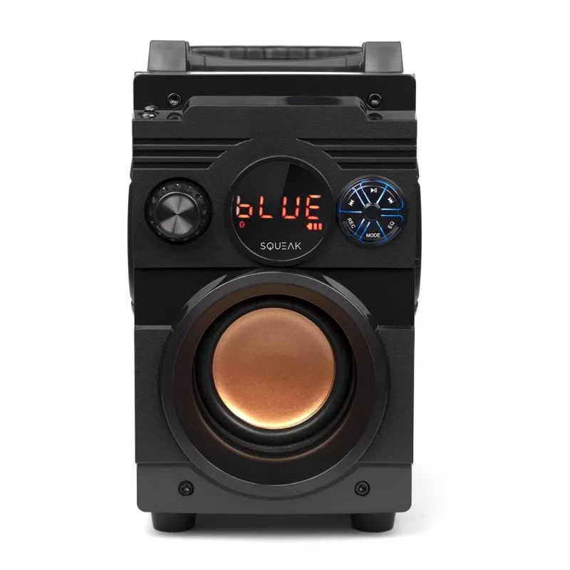 Squeak Bassblaster Altavoz Bluetooth 5.1, radio FM, reproductor MP3 SQ1001