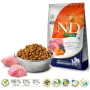 FARMINA N&D Pumpkin Lamb&Blueberry Adult Medium & Maxi - Pienso para perros - 12 kg
