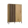 Vitrina KAMARO 2DD estrecha/GŁ roble ARTISAN