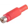 Conector de cable RCA Rojo ShiverPeaks BS51500-R