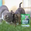 Comida húmeda para gatos VETEXPERT RAW PALEO Adult Sterilised caza 100 g — caza, sin cereales, para tendencia al sobrepeso