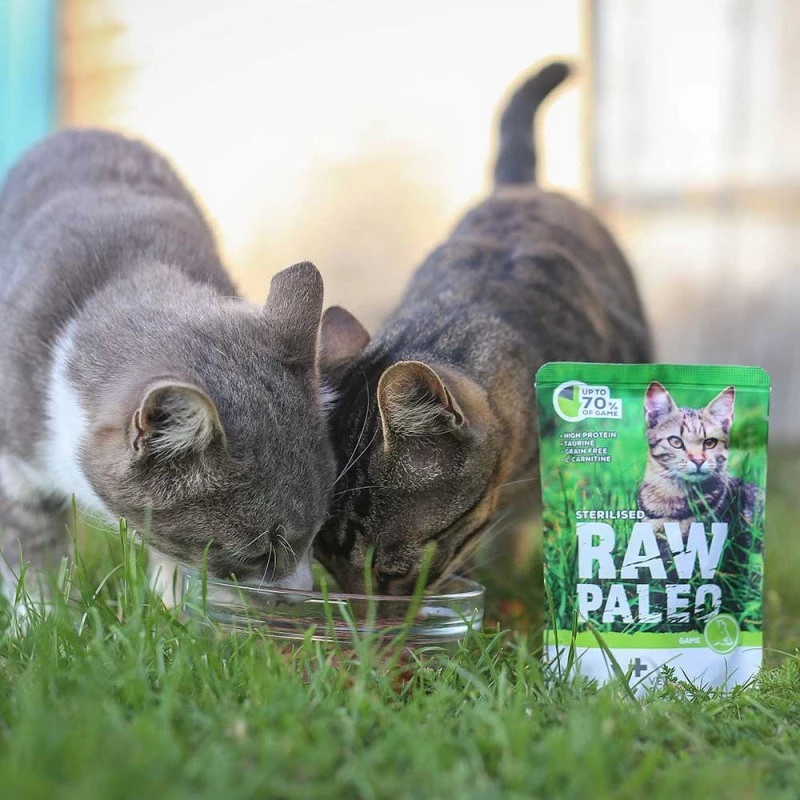 Comida húmeda para gatos VETEXPERT RAW PALEO Adult Sterilised caza 100 g — caza, sin cereales, para tendencia al sobrepeso