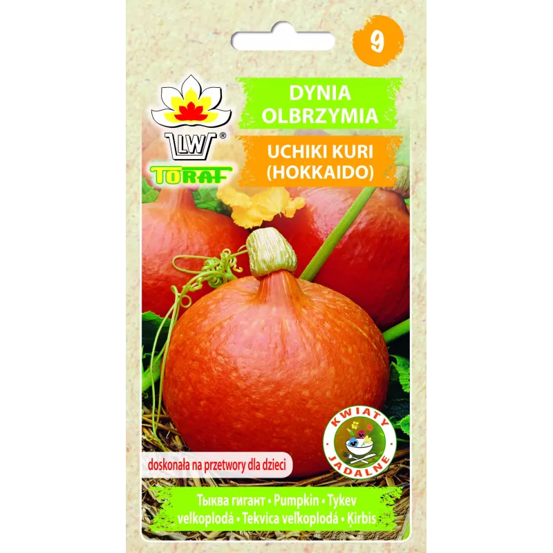 Semillas de hortalizas calabaza Uchiki Kuri Toraf, paquete de 5g