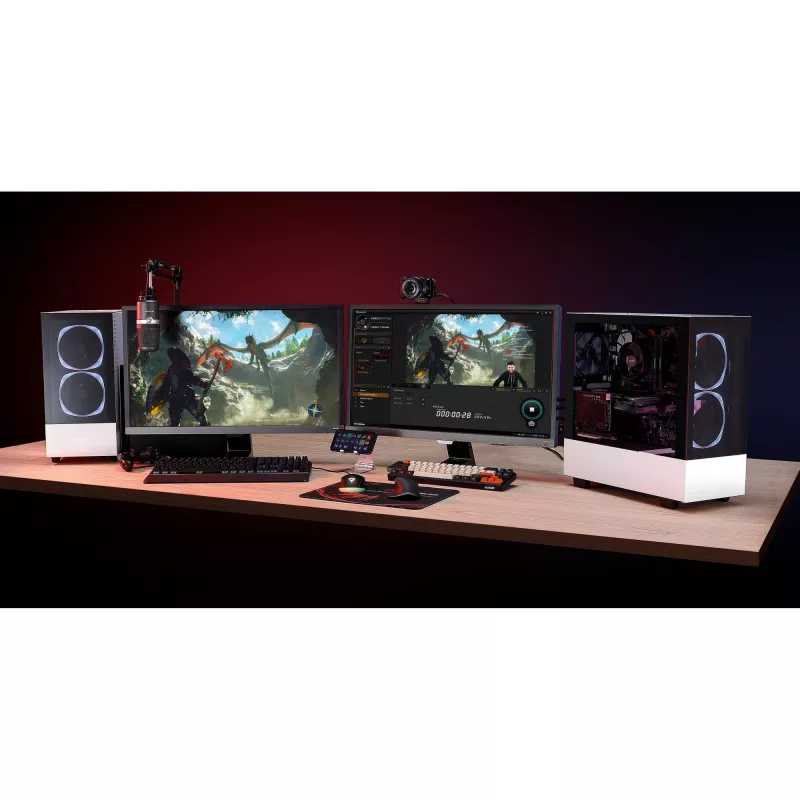 Grabadora de vídeo AVerMedia Live Gamer DUO