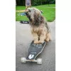 Longboard Muuwmi Lights GLOW ABEC 7 con ruedas luminosas, negro/verde