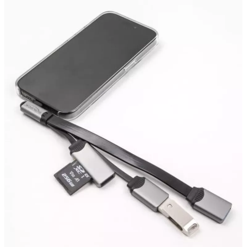 DeLOCK 64303 Hub USB 3.2 Gen 1 Type-C 5000 Mbit/s Gris