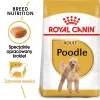 Royal Canin Poodle Adult comida para perros, 1,5 kg
