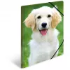 Carpeta de polipropileno (PP) HERMA 7144 A3 multicolor