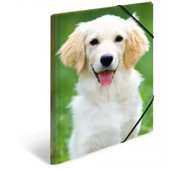 Carpeta de polipropileno (PP) HERMA 7144 A3 multicolor