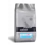Calista Baby Dog pienso para perros con cordero, 12 kg