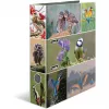 Archivador HERMA 19254 A4 multicolor con anillas D 285x315 mm