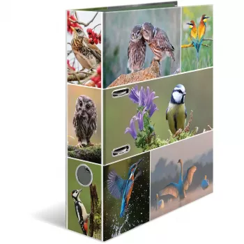 Archivador HERMA 19254 A4 multicolor con anillas D 285x315 mm