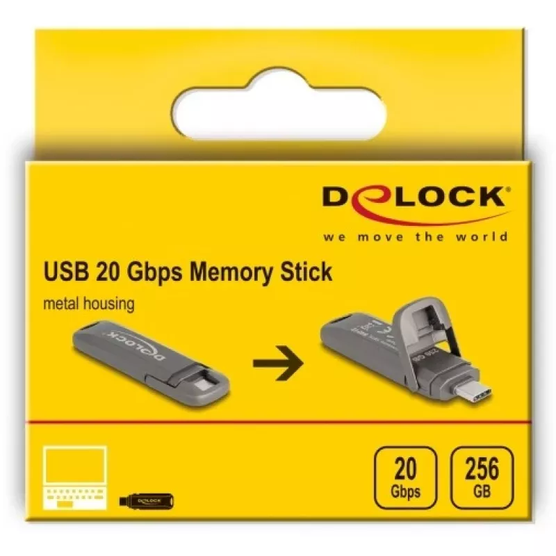Memoria flash USB DeLOCK 54012 256 GB USB Type-C gris