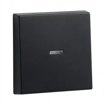 Teclas para marco de control Gira System 55, modelo 290005 (tecla marco control)