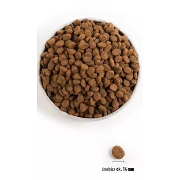 ORIJEN Regional Rojo - pienso para perros - 6 kg