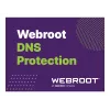 Webroot | DNS Protection con consola GSM | 1 año | Cantidad de licencias 1-9 usuarios