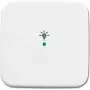 Busch-Jaeger 6220-0-0080 tapa para soporte y caja de sensor blanco (2CKA006220A0080)