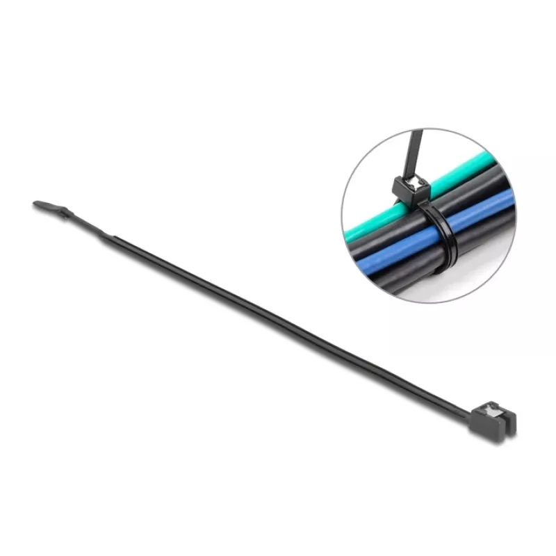 Bridas DeLOCK 200x4,8 mm 50 unidades Negro