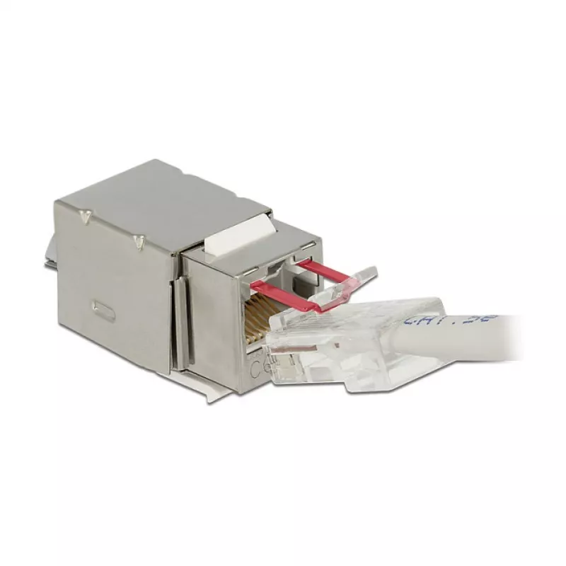 Delock 86404 módulo Keystone RJ45 Secure Cat.6 a LSA, blanco