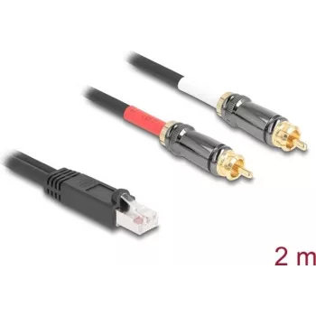 Cable de audio DeLOCK 2 m RJ-45 2 x RCA negro 88171
