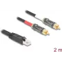 Cable de audio DeLOCK 2 m RJ-45 2 x RCA negro 88171