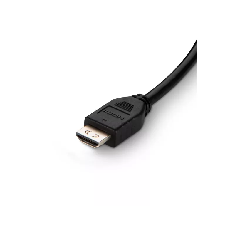 Cable DVI a HDMI/USB/AUD DVI/HDMI MM USB A/B 10IN