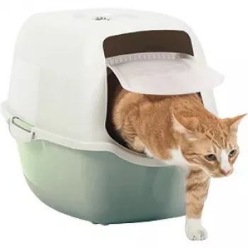 Arenero para gatos con tapa Rotho Bailey verde blanco 560×400×390 mm, filtro de carbón, 1 asa