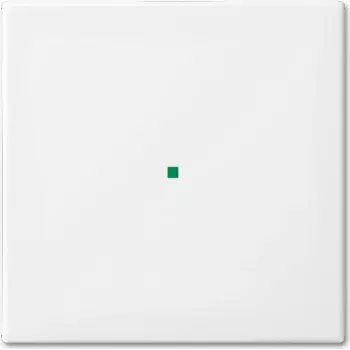 Busch-Jaeger 6230-10-914 Blanco