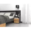 Top E Shop M1 ANTRACYT/ARTISAN mesita de noche, 2 cajones, roble