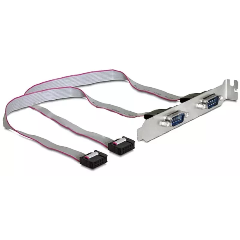 Delock Chapa de ranura, 2 x puerto serie (DB9 macho), 40 cm