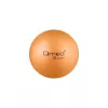 Balón de rehabilitación ABS 25 cm con bomba