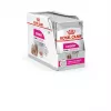 Comida húmeda para perros Royal Canin Exigent Meat Universal 12×85 g — aves, adulto, para perros exigentes