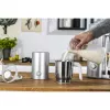 Zwilling Enfinigy plateado espumador de leche