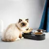 Comederos para perros y gatos Petkit Fresh Nano