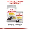 ROYAL CANIN Mini Dermacomfort - Comida seca para razas pequeñas adultas con piel sensible propensa a irritaciones - 3 kg