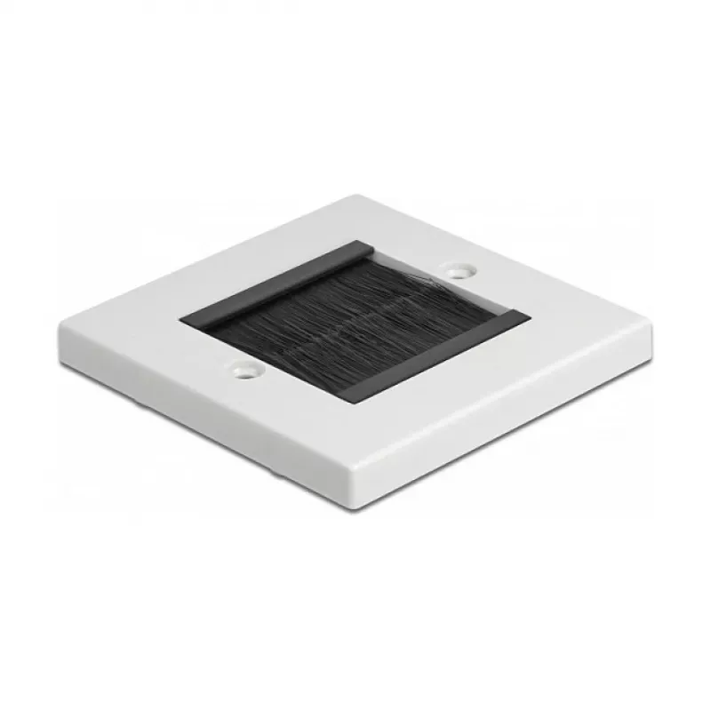 Placa de pared DeLOCK 66491 blanco