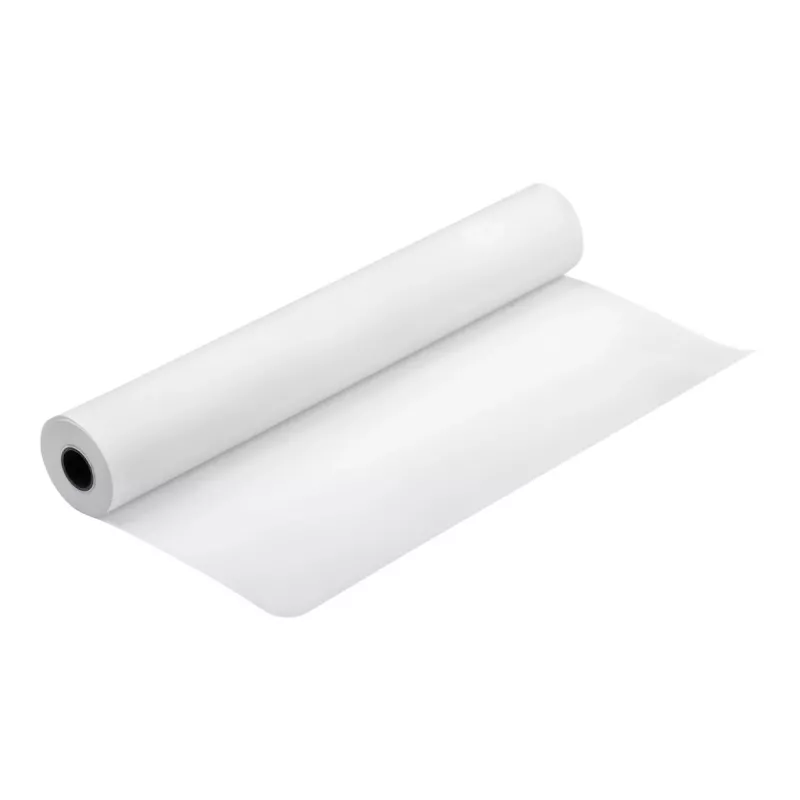 Lienzo mate Production Canvas Epson, 610 mm x 12,2 m, 12,2 m, 61 cm, 61 cm (24