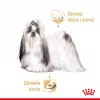 ROYAL CANIN Shih Tzu Adult Alimento húmedo para perros Paté 12x85 g