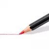 Lápices de colores Staedtler 149C C24