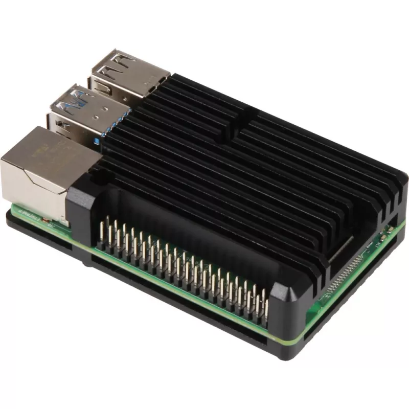 Raspberry Pi RB-ALUCASEP4+07 negro