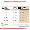Comida seca para gatos Royal Canin Maine Coon Kitten 2 kg — aves, proteína 36%, grasa 23%