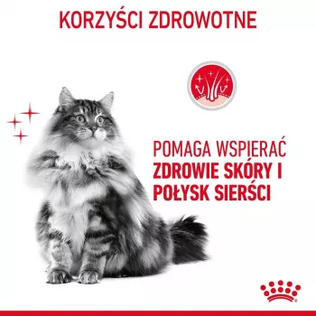Pienso para gatos Royal Canin Hair & Skin Care 2 kg — Pollo, gatos adultos, 33 % proteínas, 22 % grasas