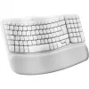 Logitech Ergo Series Wave Keys for Mac - Teclado - Inalámbrico - Bluetooth LE - AZERTY - Francés - blanco roto (920-012406)