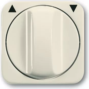 Busch-Jaeger 1753-0-0599 Placa de pared/tapa de interruptor marfil (2CKA001753A0599)