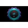 Aspirador DYSON GEN 5 Detect Absolute