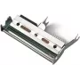 HONEYWELL 300 dpi - cabezal de impresión - para EasyCoder PX4i